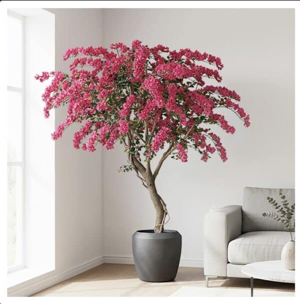 IMG_5238 Bougainvillier Artificiel Ignifugée M1 – Arbre Fleuri 270 cm