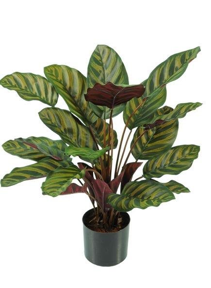 Calathea Artificiel en Pot ignifugé M1 - Flowersmile