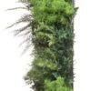mur-vegetal-artificiel-tropical-2 Mur Végétal Artificiel Tropical ignifugé M1 - vue 2 - Flowersmile
