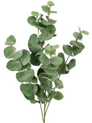 Branche d'Eucalyptus Artificielle ignifugée M1 - Flowersmile