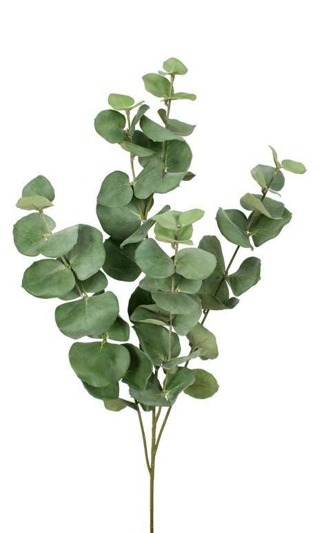 branche-d-eucalyptus-artificielle Branche d'Eucalyptus Artificielle ignifugée M1 - Flowersmile
